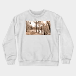 Winter Dream Sepia Crewneck Sweatshirt